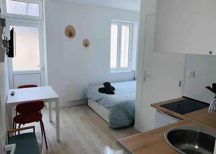 A 6 Min A Pied Du Centre * Albi